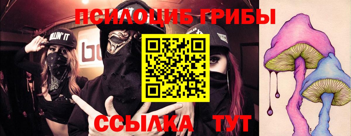 Галлюциногенные грибы Magic Shrooms Костомукша