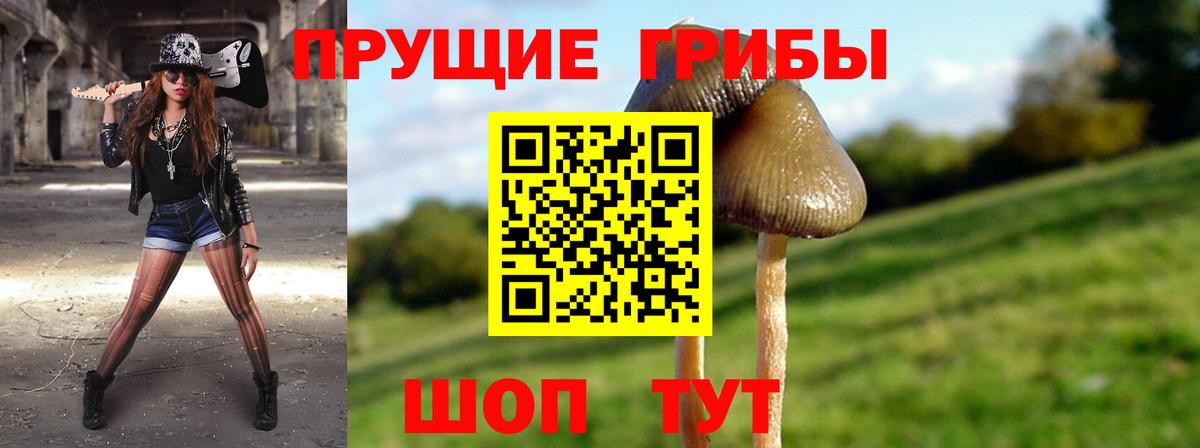 Псилоцибиновые грибы мухоморы  Галлюциногенные грибы GOLDEN TEACHER  Костомукша  Вход с VPN 
