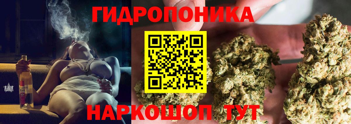 Бошки марихуана тримм  Марихуана Bruce Banner  Костомукша  Вход с VPN 